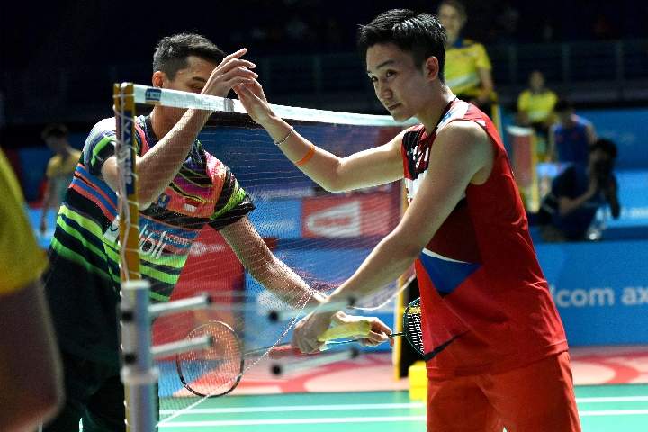 赛所展示的 赛所展示的